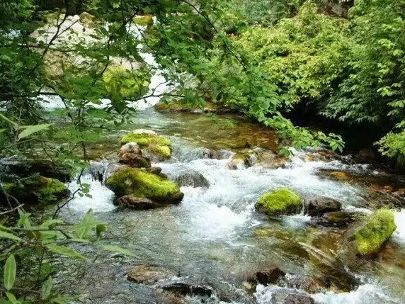竹山县3招提振夜经济 打造文旅消费新引擎